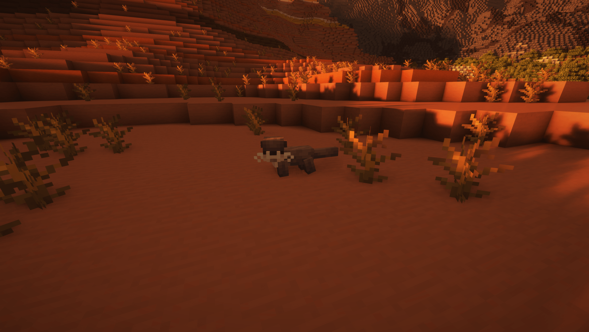 An otter from the companions mod