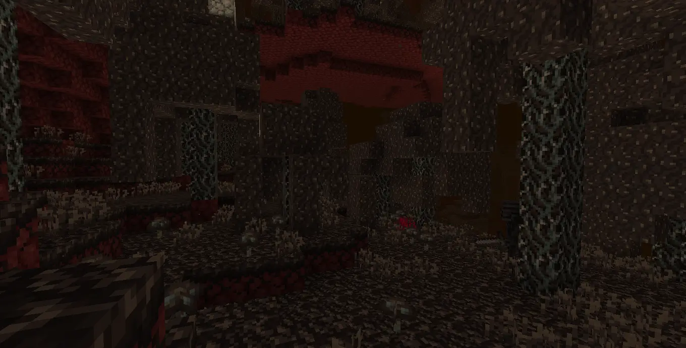 A Snapshot of The Withered Forest biome. It features dark black stems with silvery veins going through it. On top of the stems is a new black wart block. On the ground of the biome, there are Withered Fungus plants as well as Withered Roots. Both of these foilages are black in color while the fungus has specs of gray. Also notably featured, is a dead shroomlight, which lacks the orange color from the vanilla shroomlight and a wither skeleton hiding behind the tree closest to the camera on the right side.