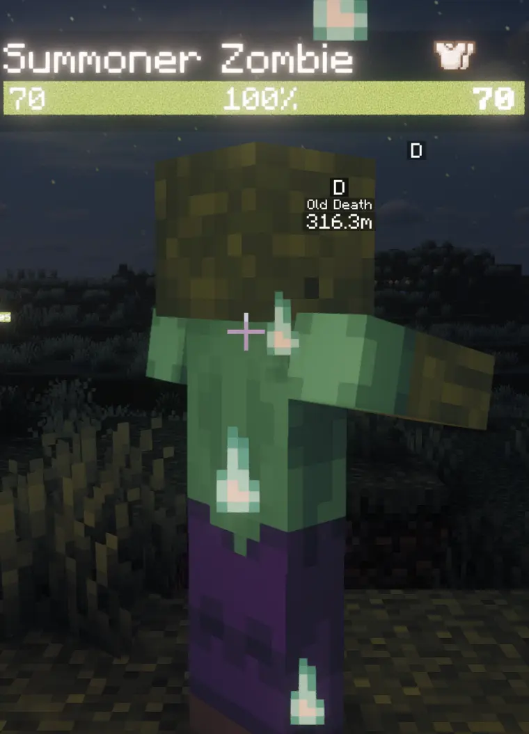 summonerzombie(about 100days after)