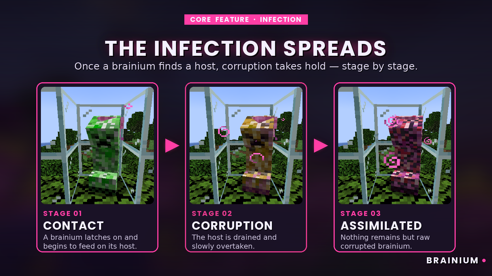 infection stages example