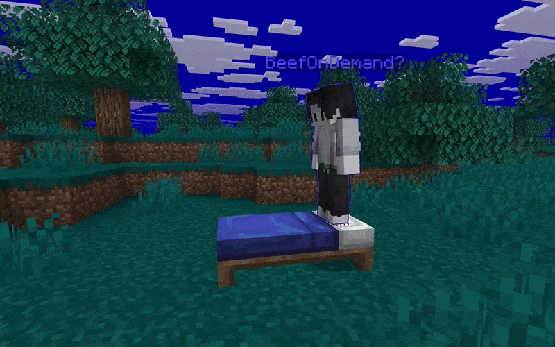 example of bed buddy teleporting