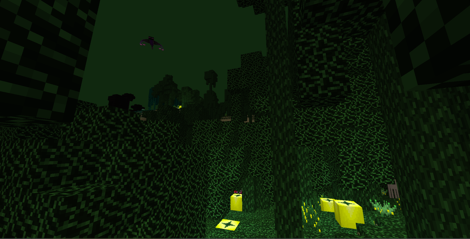 Glymeron Forest
