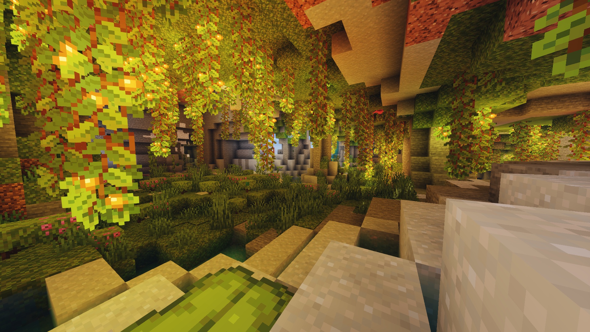 Vibrant2