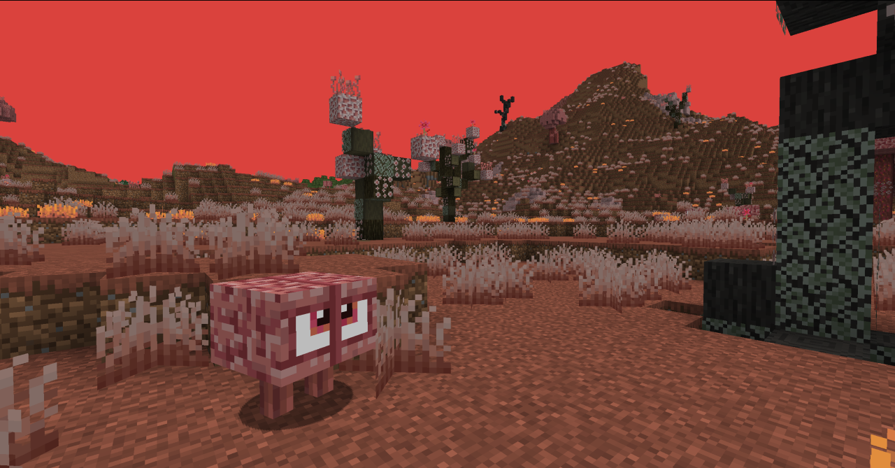 Red biome with fungus