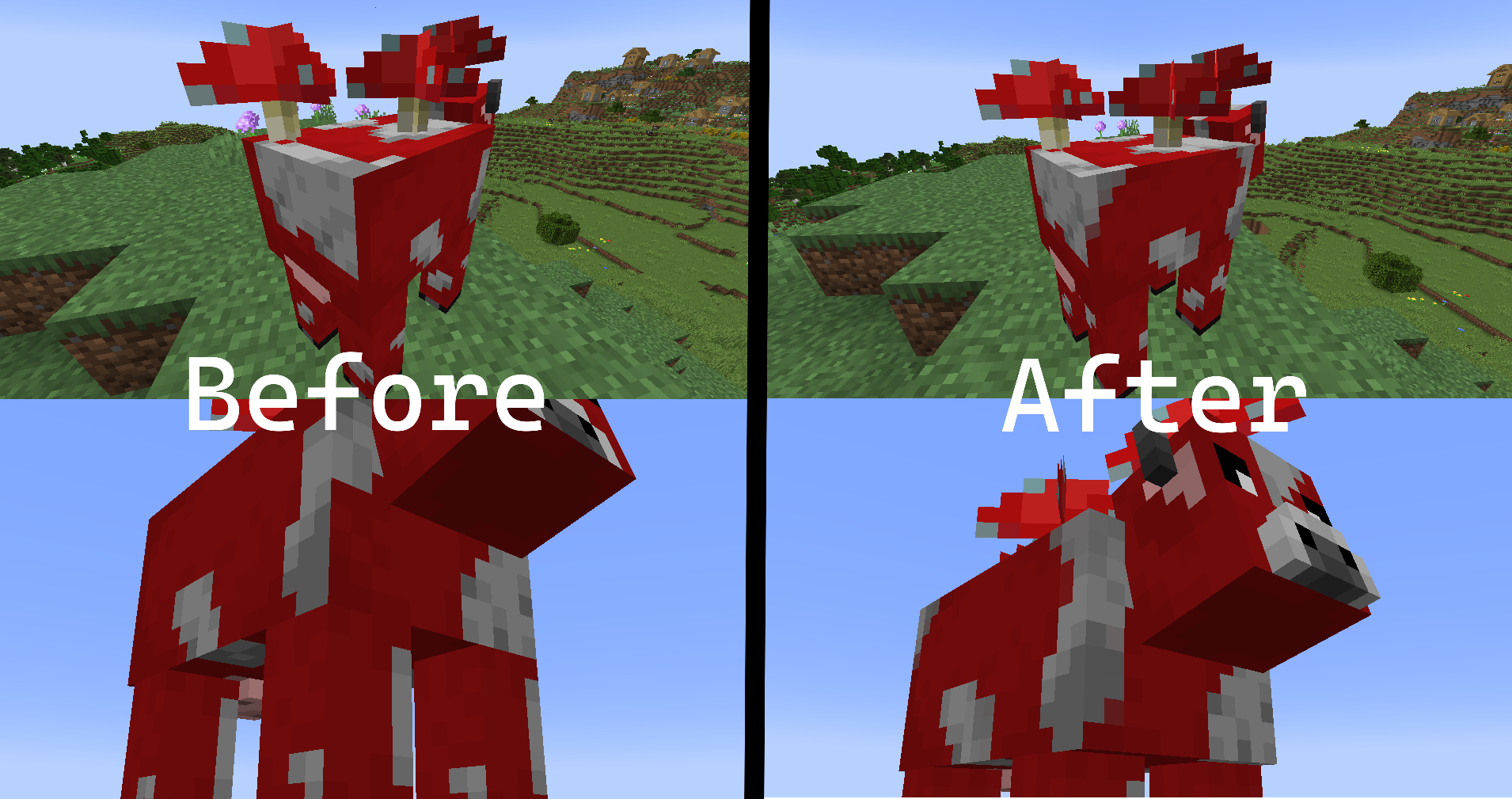 before&afer