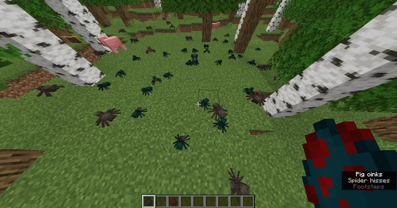 Spiders Reality Climbing