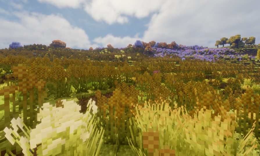 Field