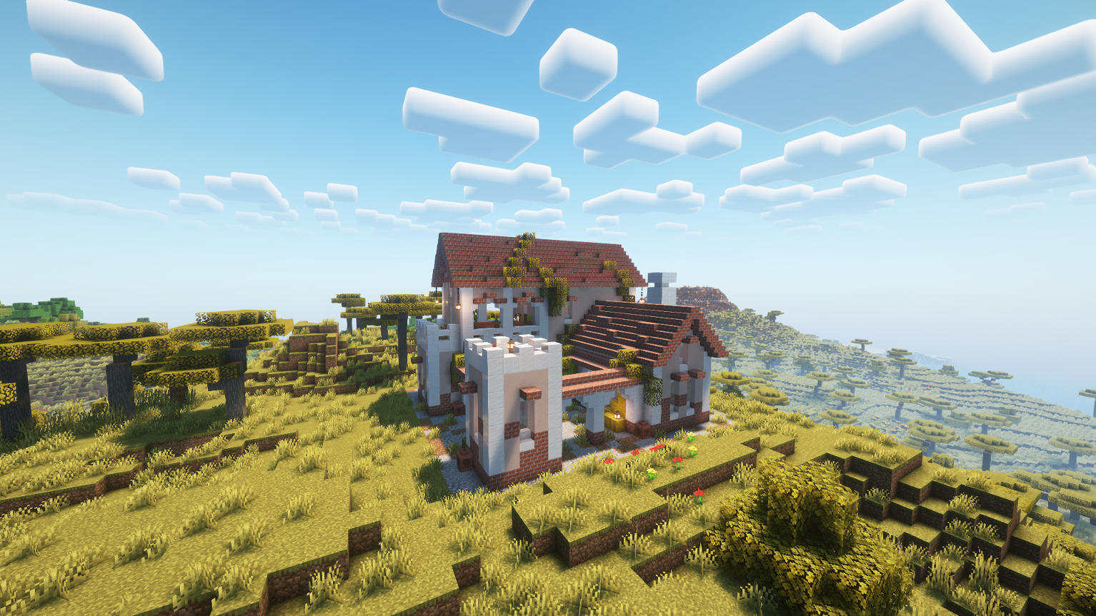 Overview
