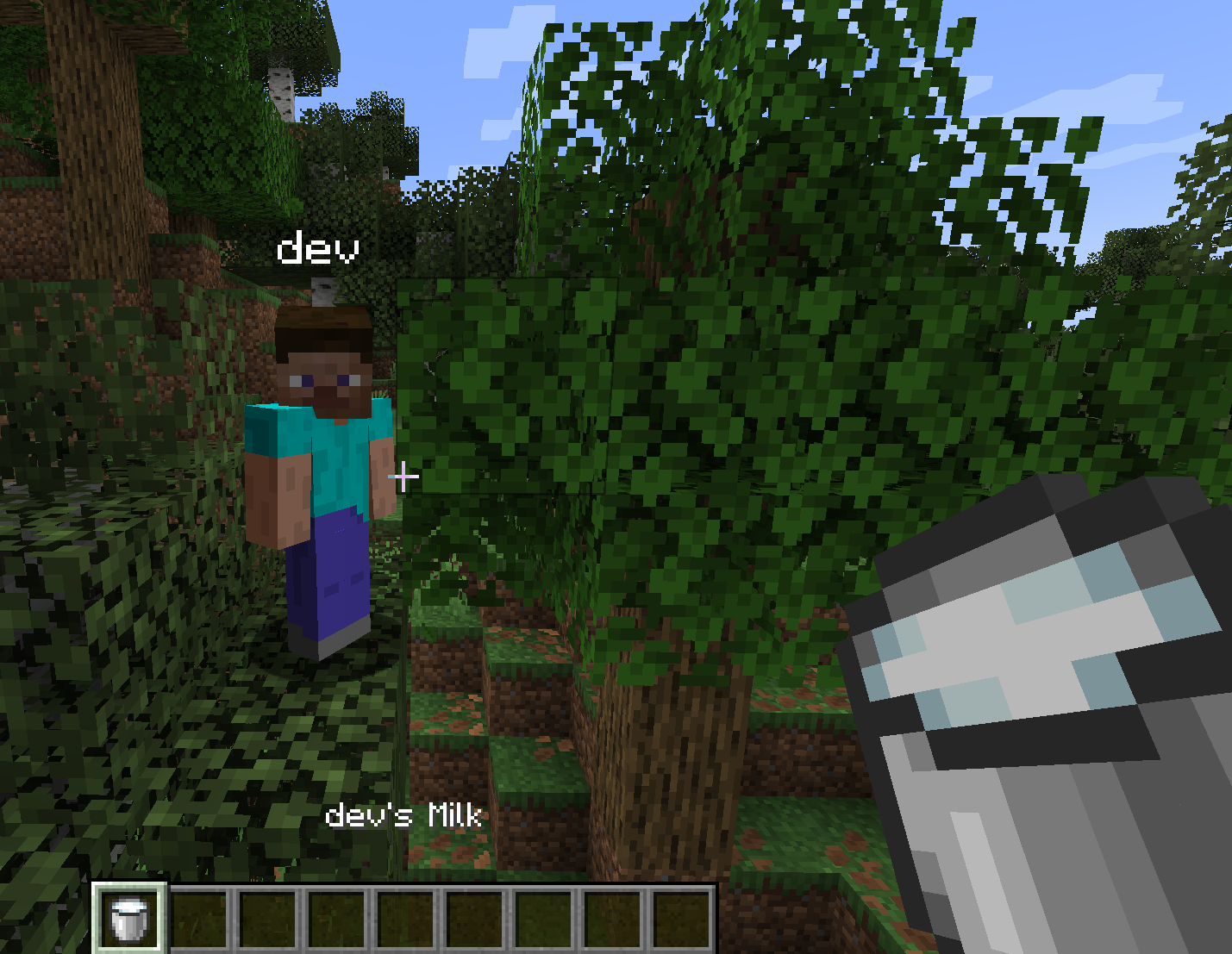 An image shown of the Test of this Plugin