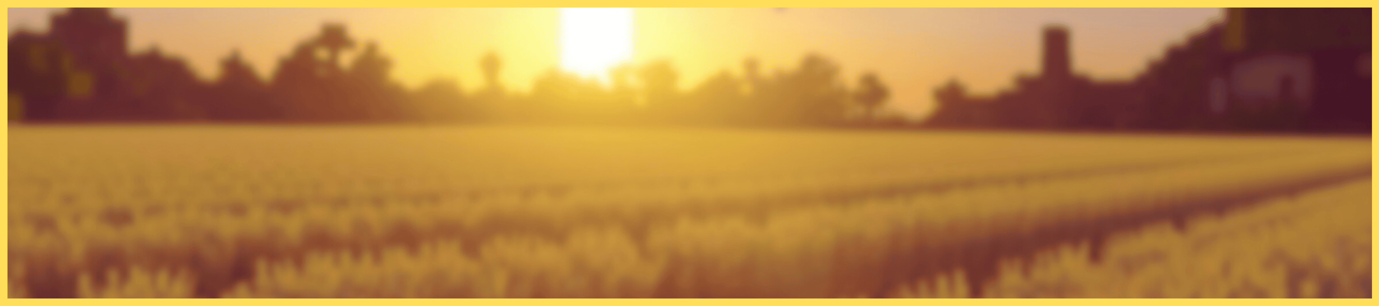 Field with Sundown