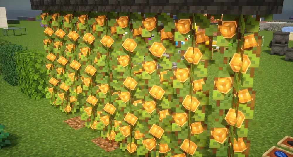 3D Berries
