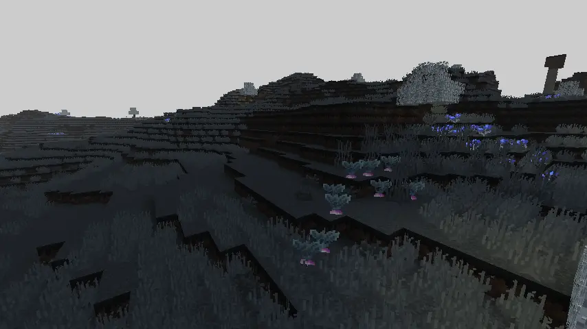 plains