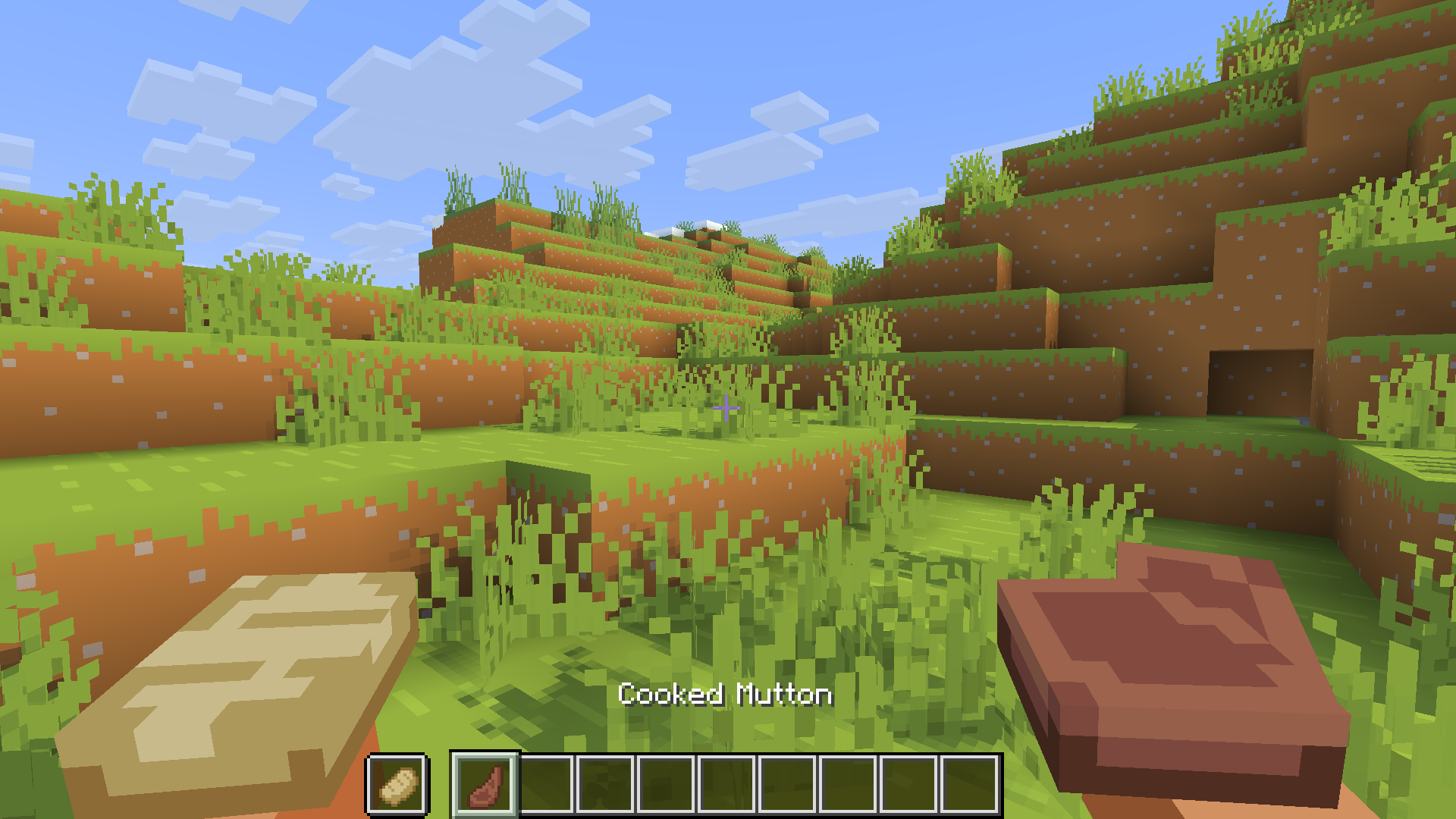 player holding a simplified 3D pork and mutton in a plains biome