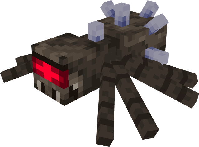 elder spider