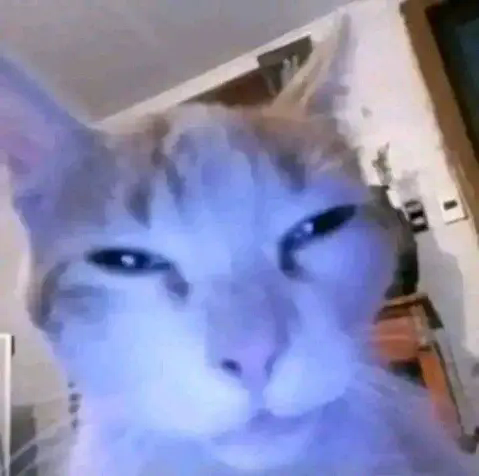 meow