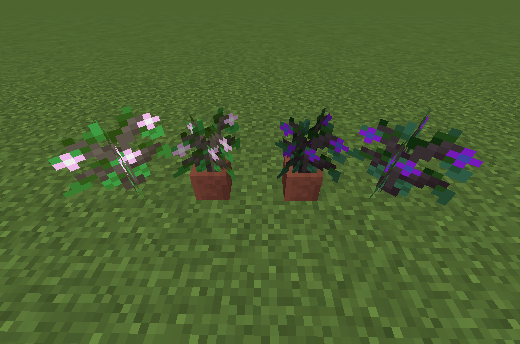 saplings