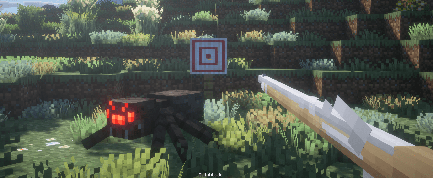 aim