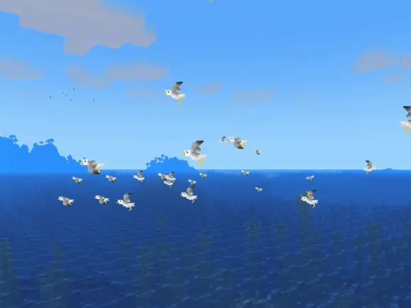Seagulls flying in the sky