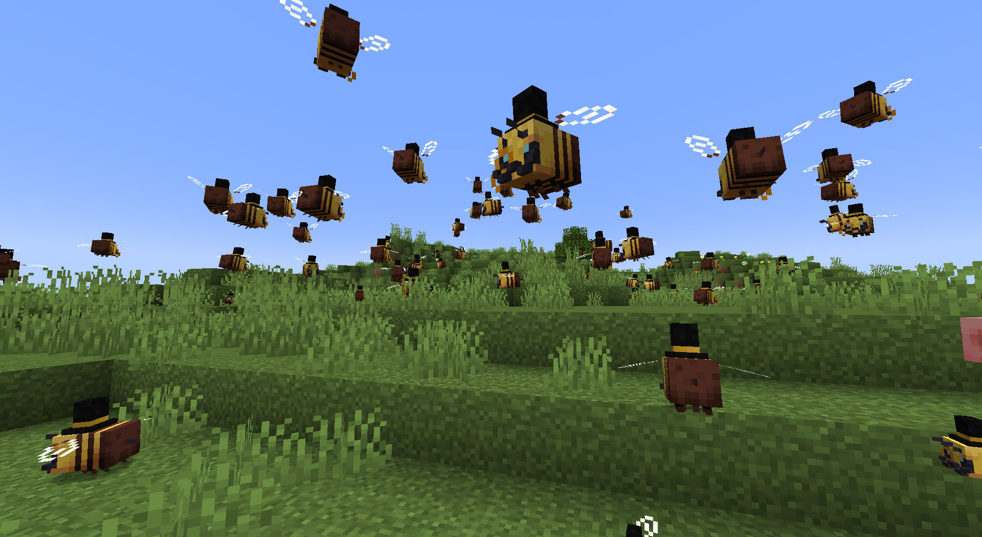 Hive