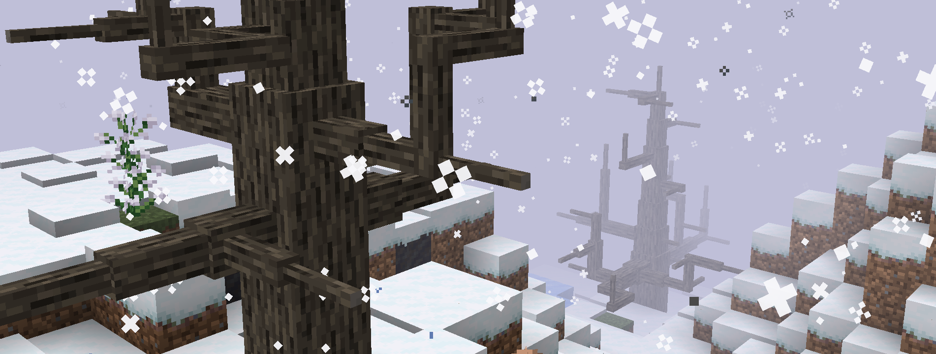 winter