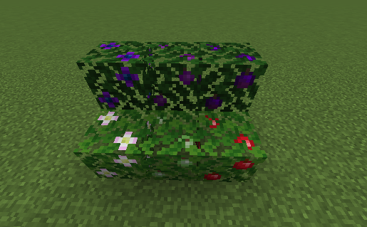 Ornamental leaves