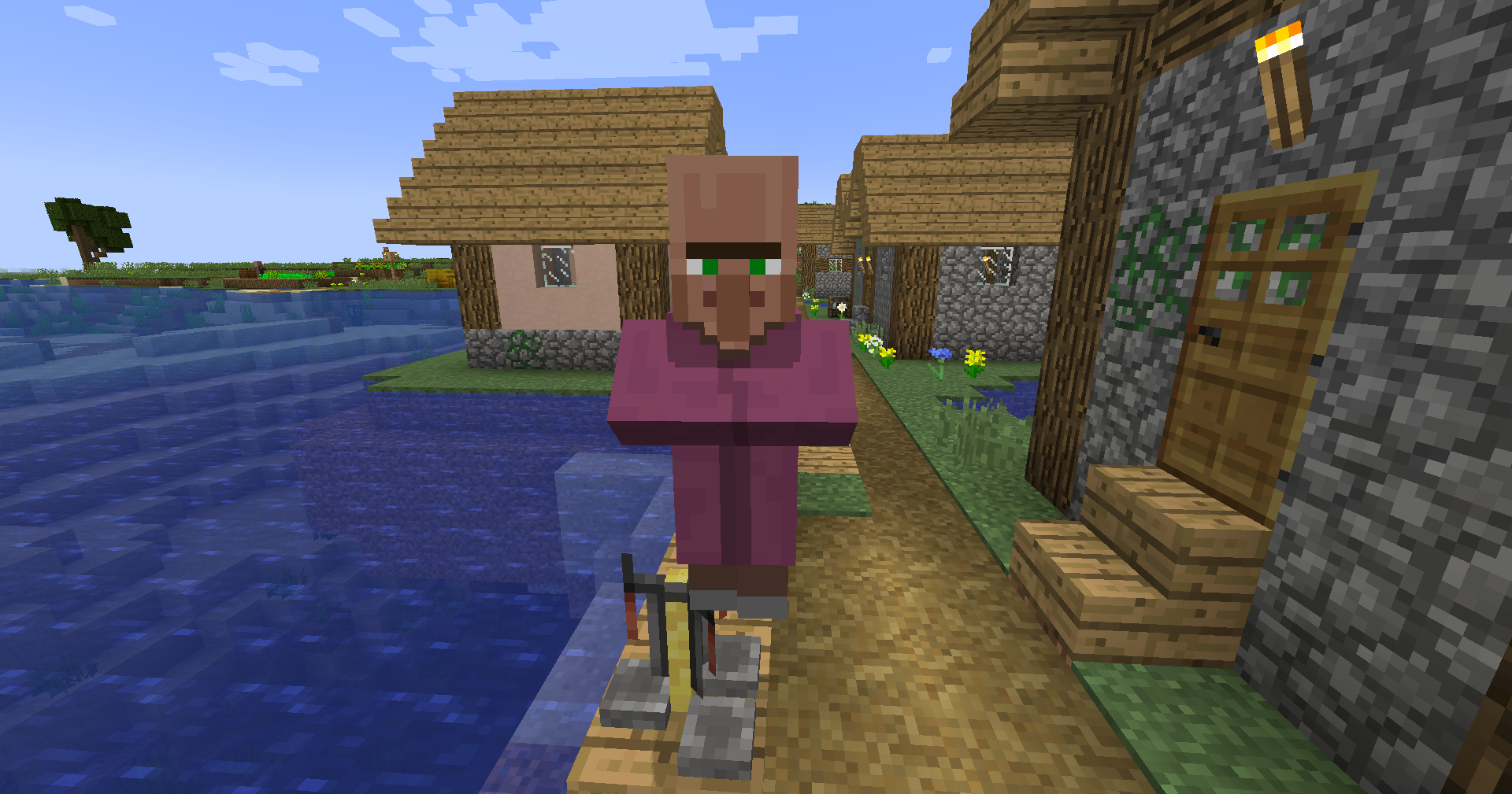 Priest Villager