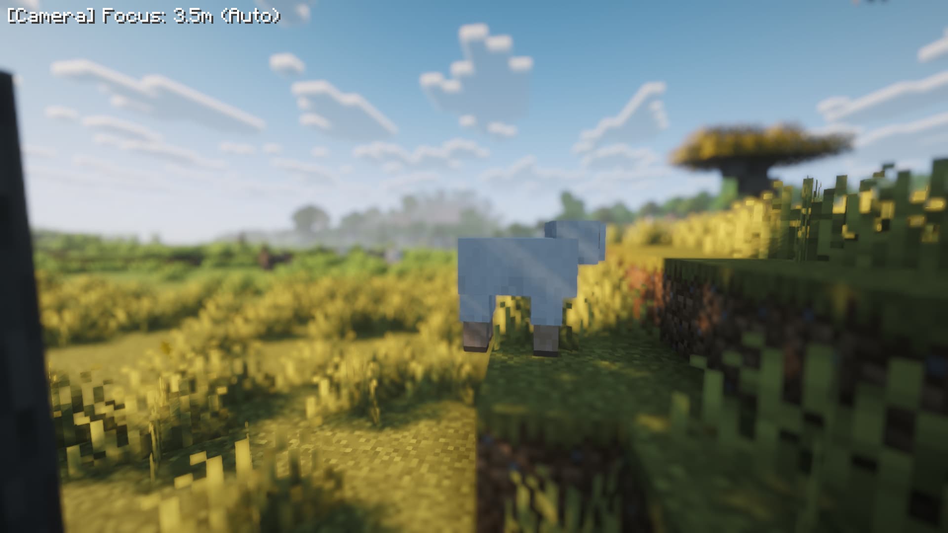 auto focus mode(default)