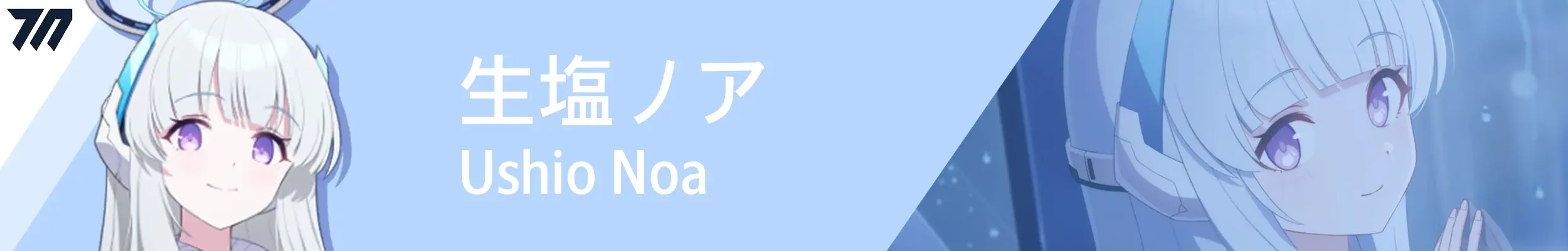 train_banner_noa