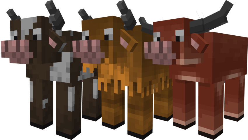 New Cows