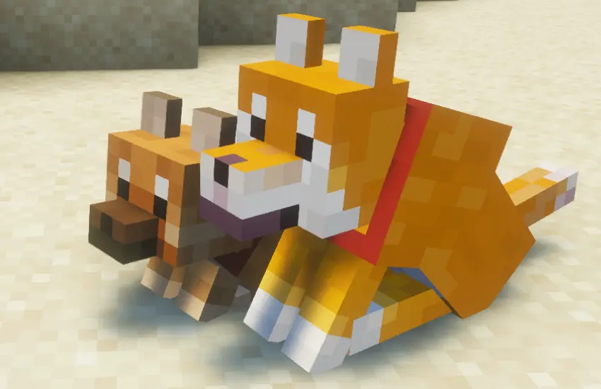 Red Shiba with puppy