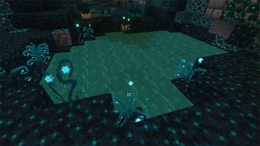 sculk_acid_lake