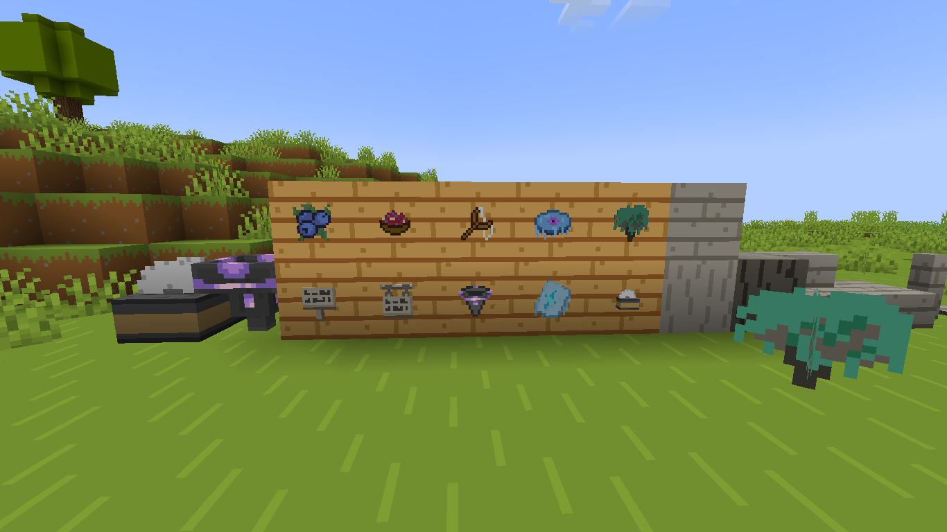 Blocks and items
