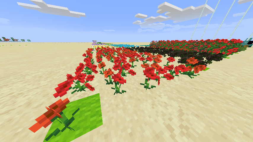 Variated Poppies and Wither Roses.