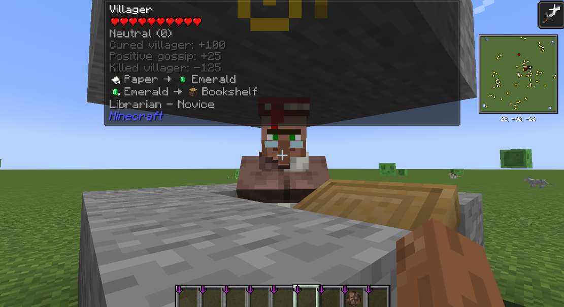 Village Info