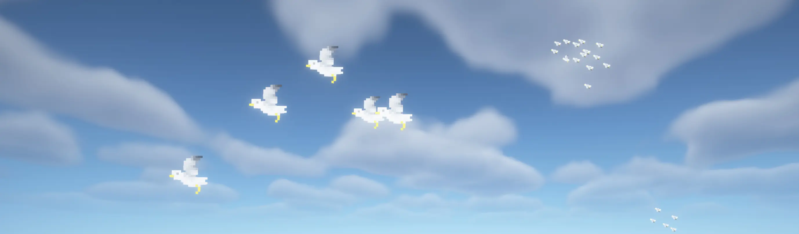 Seagulls flying in the sky