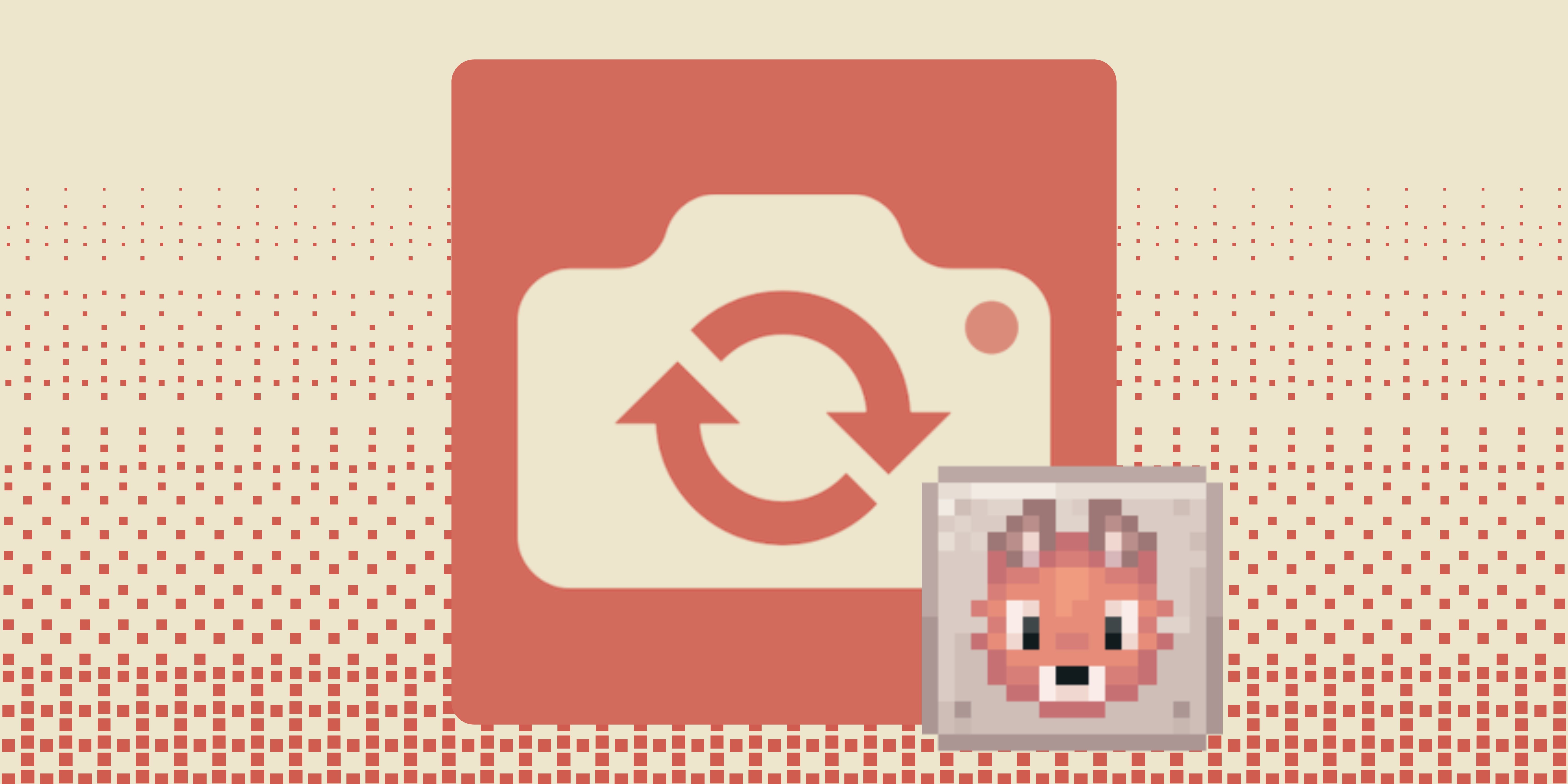 Camera with reverse symbol and a small pixel art fox face