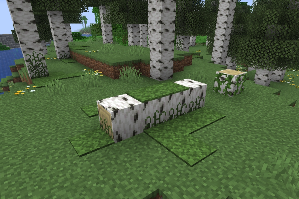 Moss can be generated among the trees