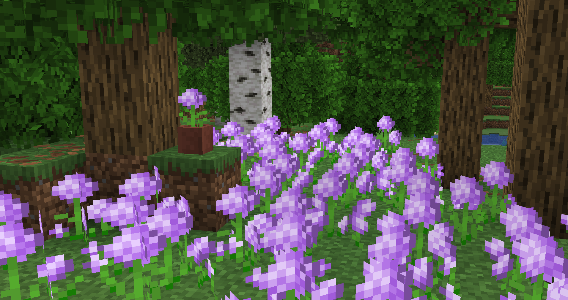 A showcase of the six Allium variants currently included in Bloom.