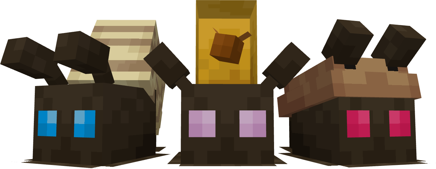 Molhusk