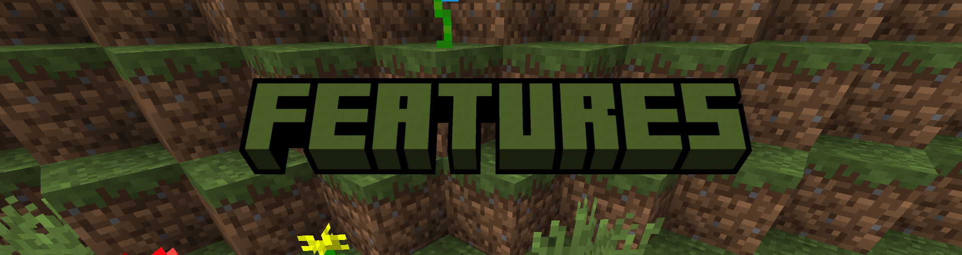 An image with a grass background and a text "Features"
