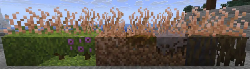 Image of allowed blocks with entangling roots block on top of each one, from left to right: Moss, Azalea, Flowering Azalea, Rooted Dirt, Podzol, Mycelium, Muddy Mangrove Roots and Mangrove Roots