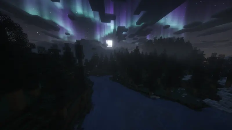 trees at night