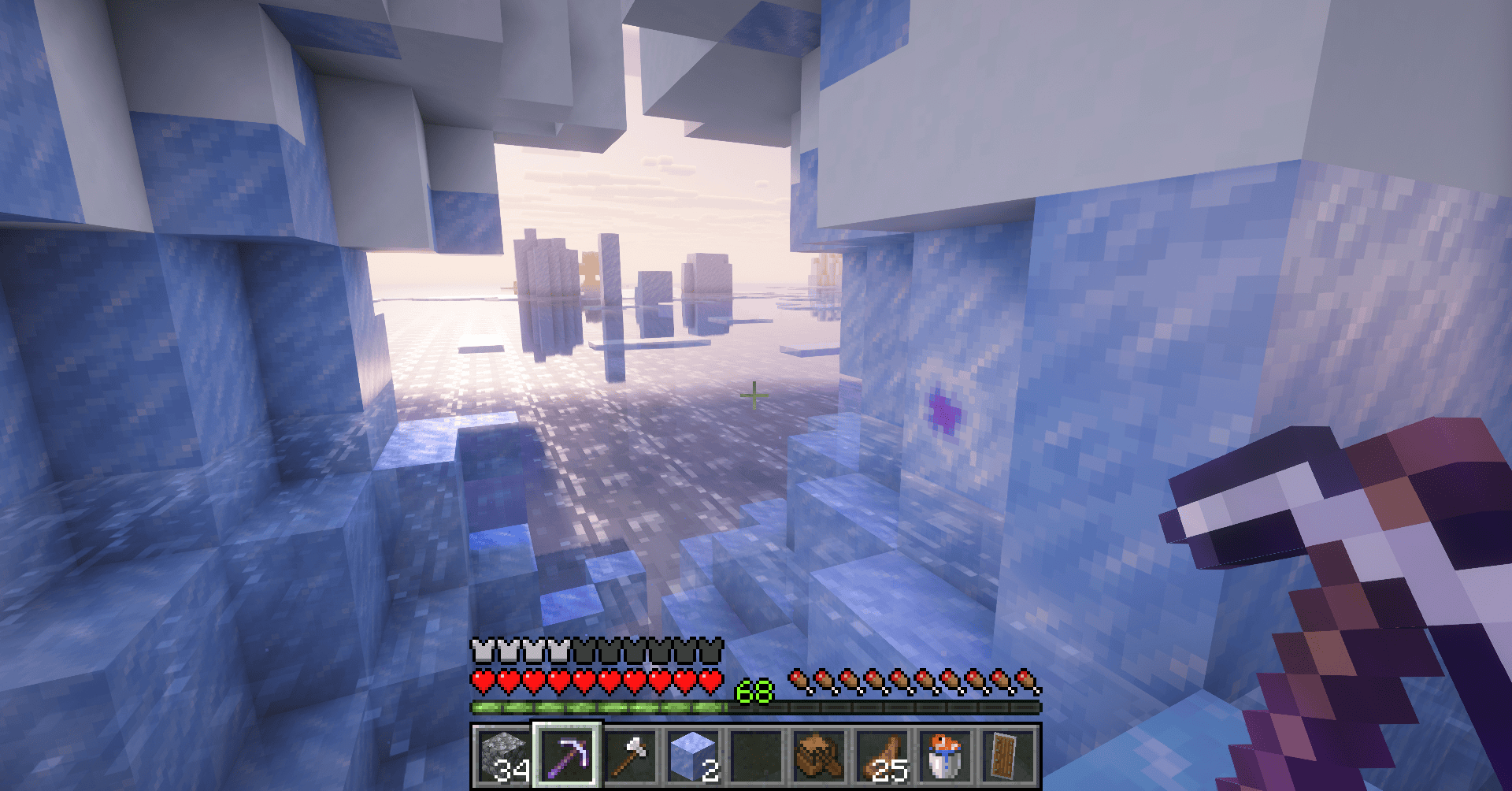 A player in an ice biome.