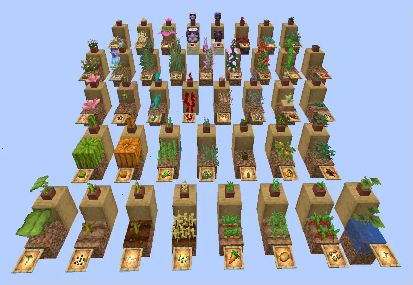 Overview of plants in pots