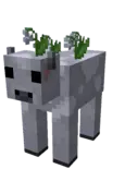 Replace this with a description