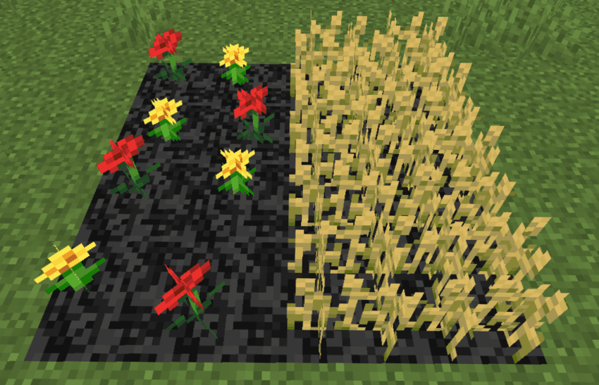 Flowers and wheat on mulch.