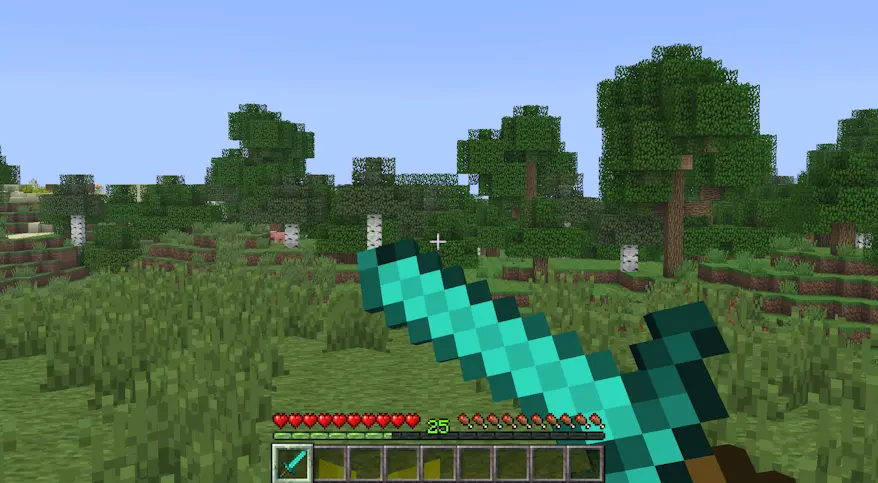Sword blocking