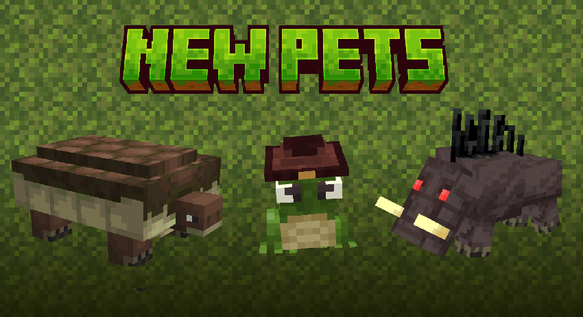 New pets