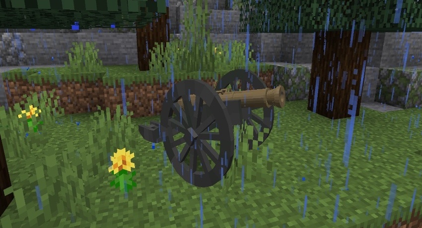 cannon standing on the ground