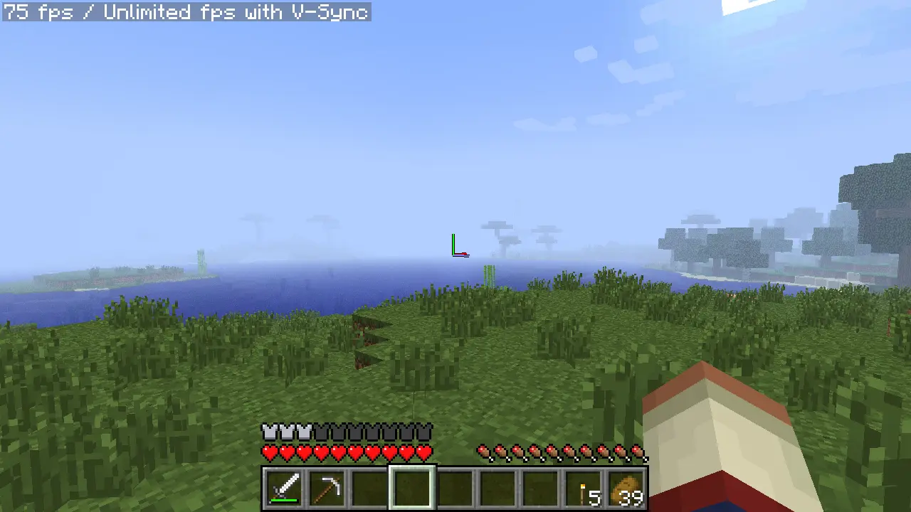 Players checks the F3 debug menu, it only shows their fps.